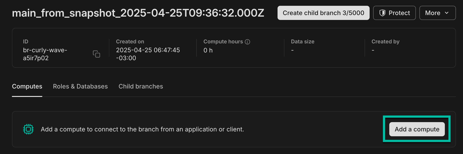 Restore branch add compute