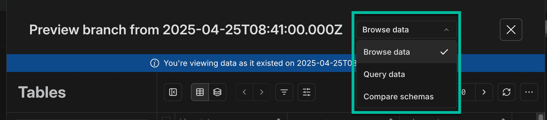 Backup and restore preview data options